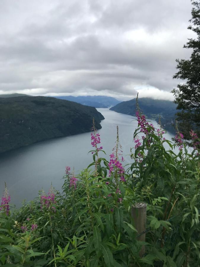 Apartmán Panorama Fjord Olden Exteriér fotografie
